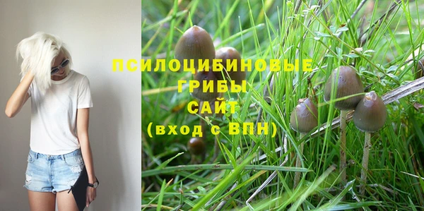 прущая мука Богданович