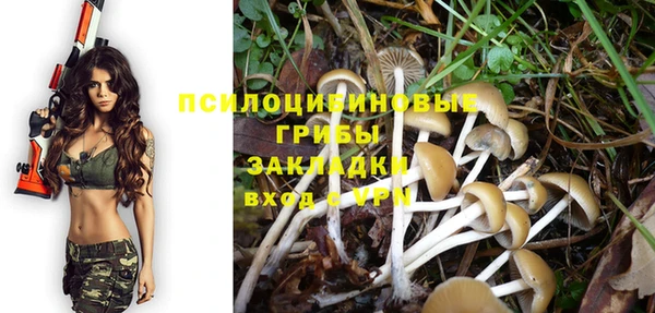 альфа пвп Богородицк