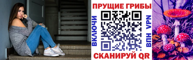 Псилоцибиновые грибы Psilocybe наркотики Дорогобуж